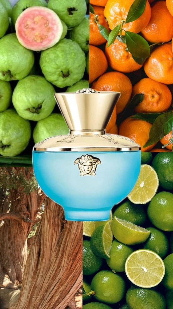 Versace Dylan Turquoise Eau de Toilette