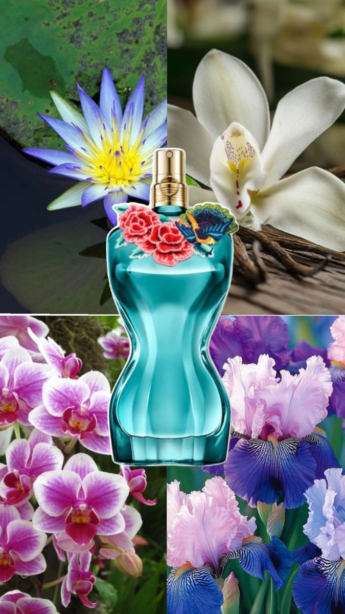 La Belle Paradise Garden By Jean Paul Gaultier