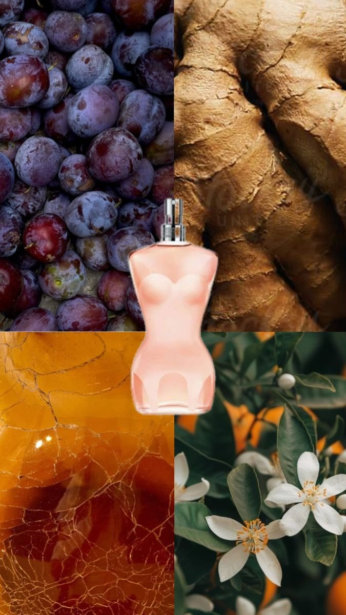 Jean Paul Gaultier Classique Eau de Toilette