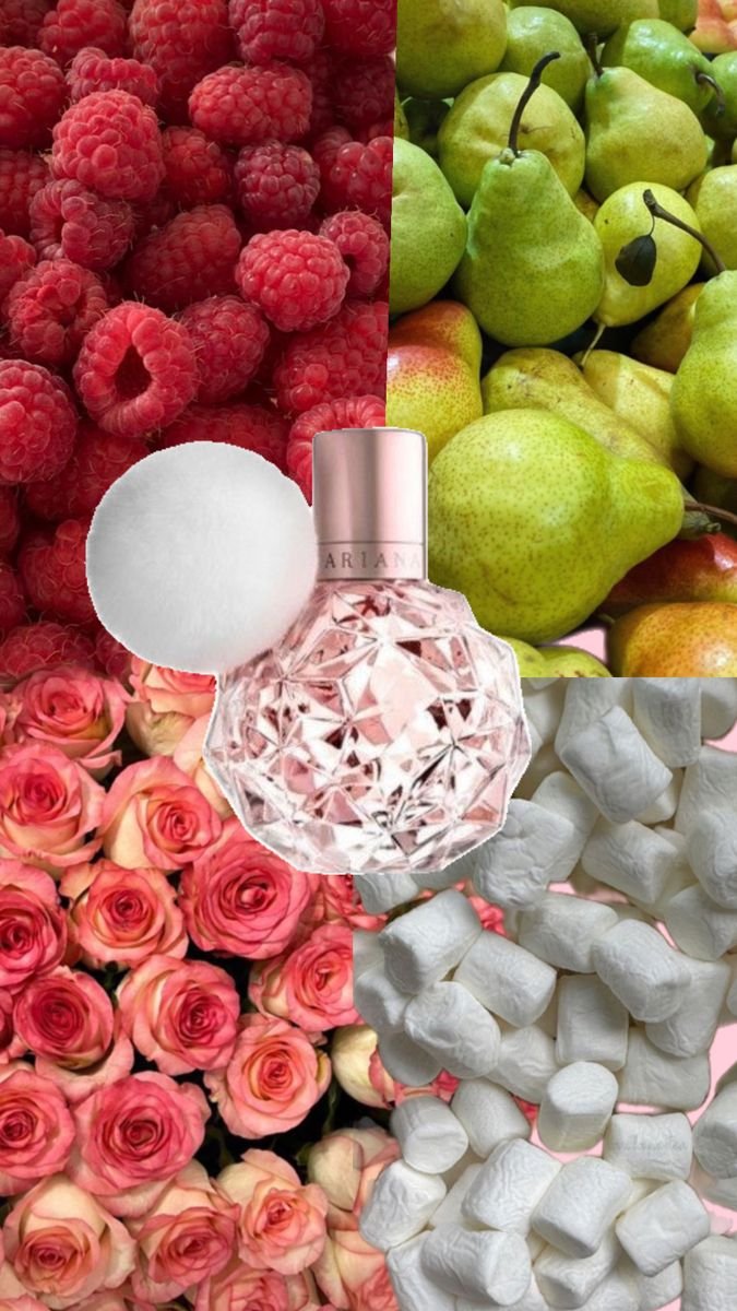 Ari Parfum Ariana Grande